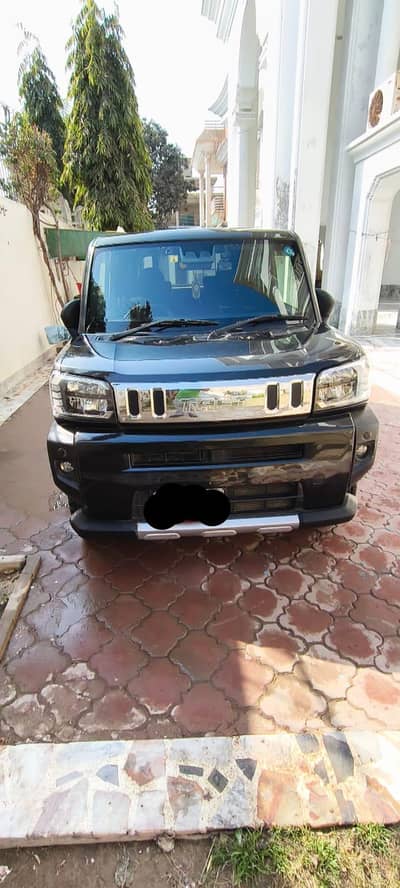 black beauty ready for sale