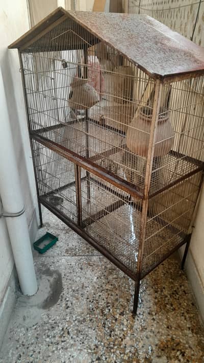 Cage for sale 03139200048
