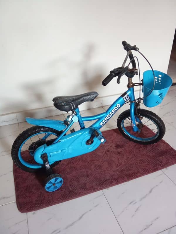 cycle 0