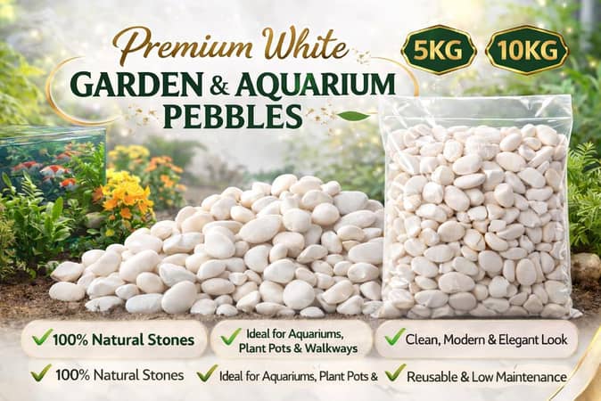 Premium White Garden & Aquarium Pebbles (3KG-5KG) | Large Natural Decorative Stones for Landscaping, Plant Pots, and Fish Tanks