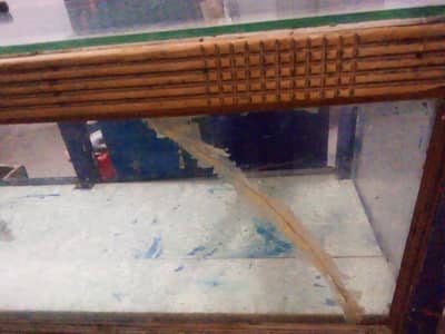 shop counter for sale