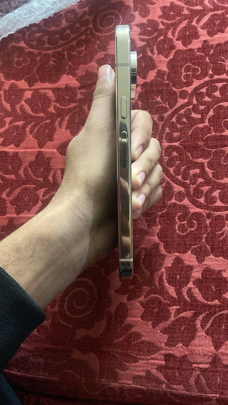 google pixel 9 pro 1