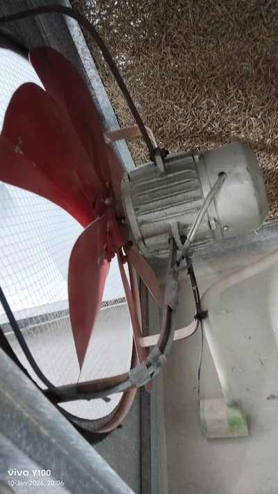 urgent seal room air colar lahori jambo size with stand