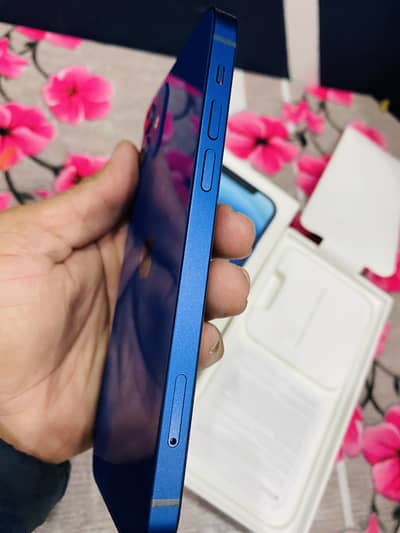 iPhone 12 128gb dual pta approved