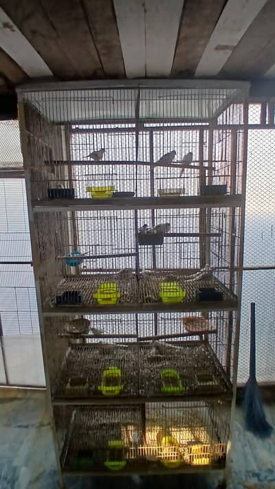 Cage for sale 3 by 1.5 size