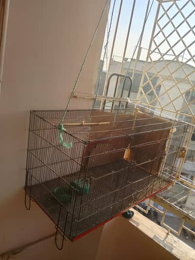 cage for sale sale sale