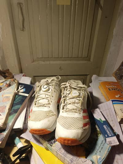 addidas Spikes shoes