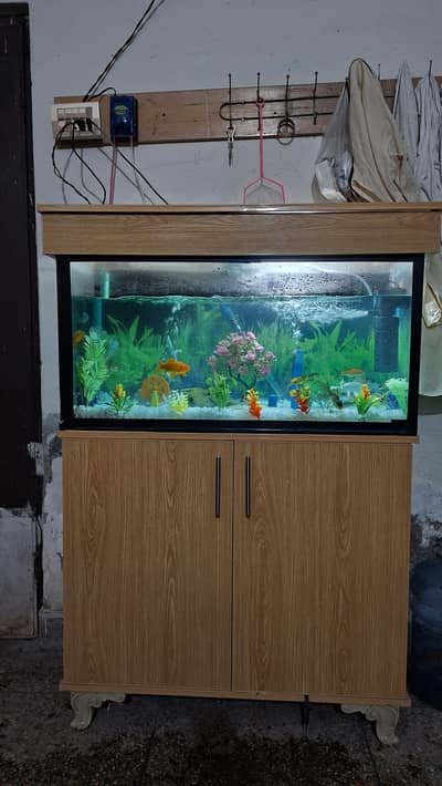 Fish with complete aquarium set available for sale