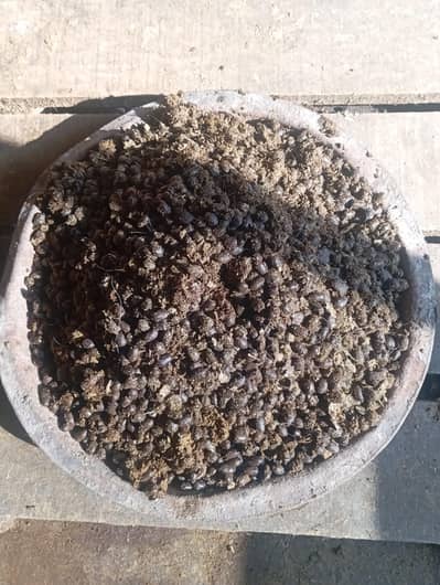 Organic fertiliser for plants, garden and lawns!