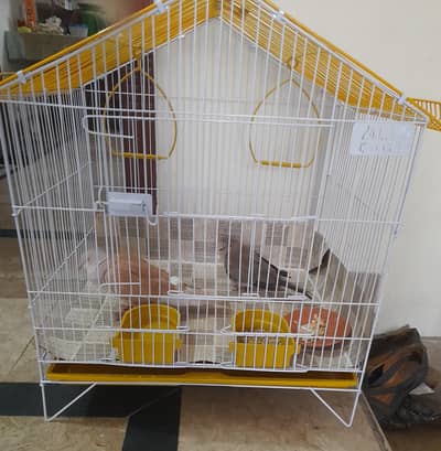 Cage for Hen/Birds