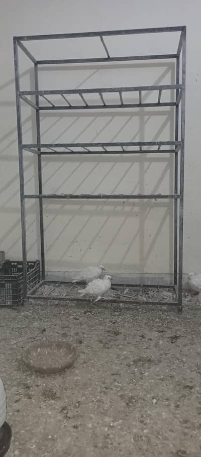 Pigeon parrot Cage Frame Heavy Duty