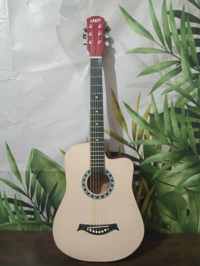 Guitar with turss road 38 inch with bag 2 pick and Cord's trainer
