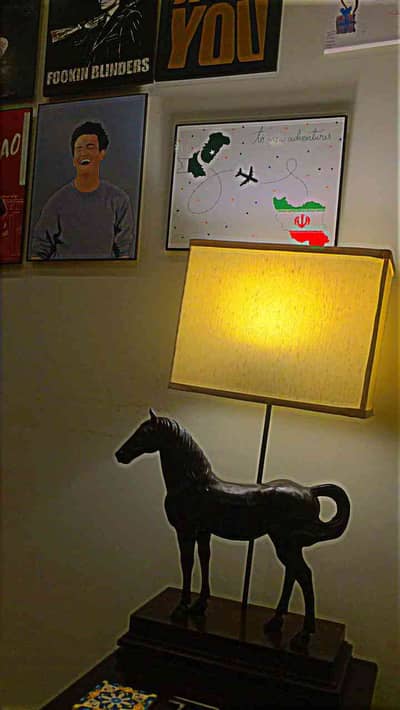 Aamir Shahzad 