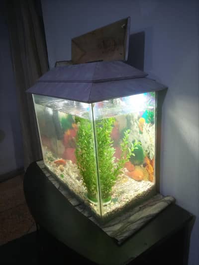 Aquraium like a new
