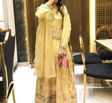 Lehenga l Party wear l For sale l New condition