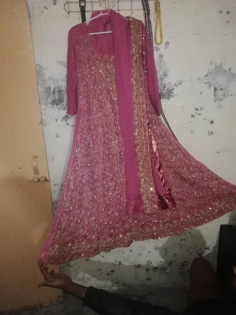 bridle maxy 7