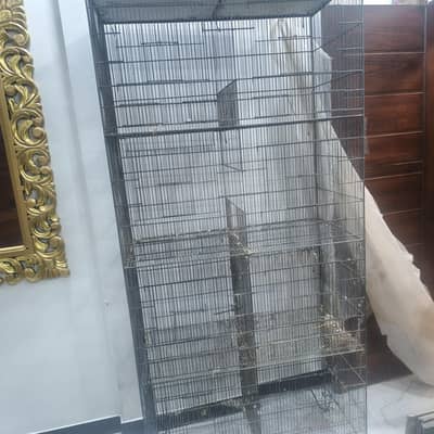 bilkul saaf suthra pinjre