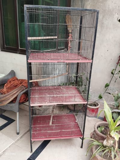 cages Gray parrot etc