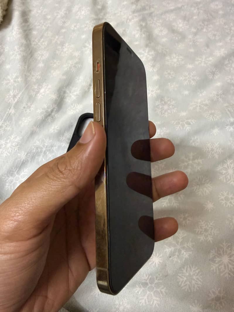 Iphone 12 pro max 2