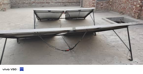 4 plat for sale longy company with Stand