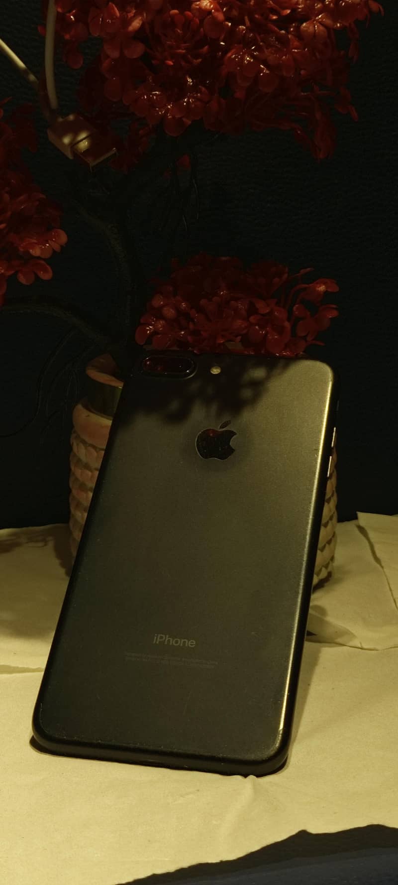 IPHONE 7 plus  . . . . . . 4