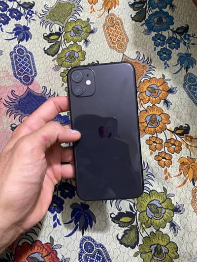 iPhone 11 water pack