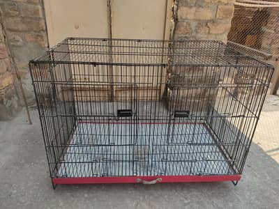 Parrot's cage for sale