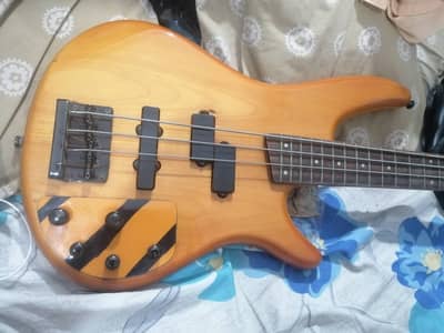 electric bass guitar