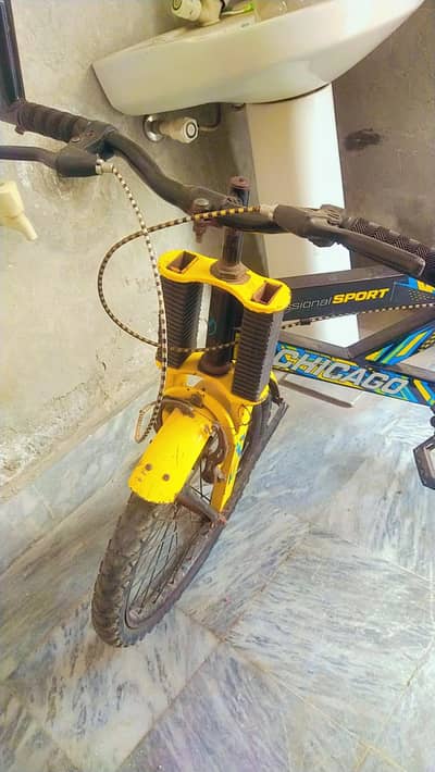 professional sports bicycle