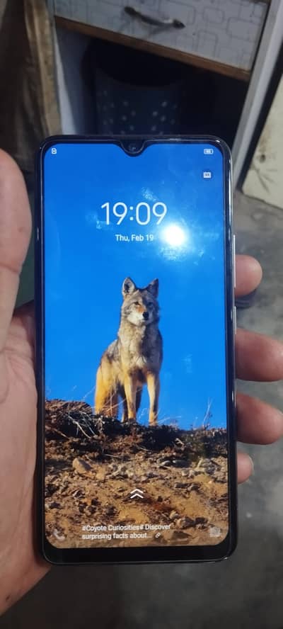 vivo y 19. . 4/. 128
