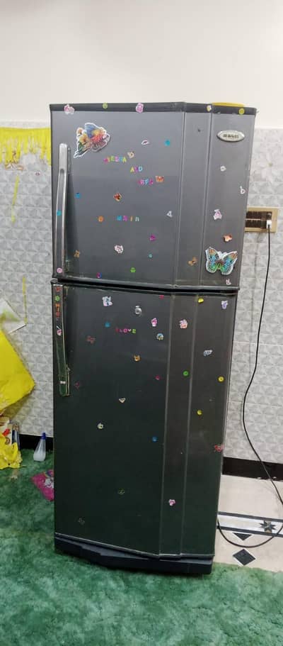 Large size Friedg(freezer) waves company