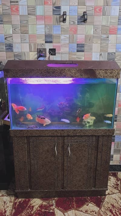 3 Feet Aquarium for sale(With all Accessories)