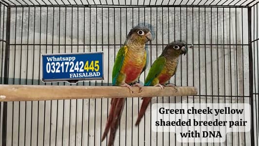 2 breeder pars with DNA