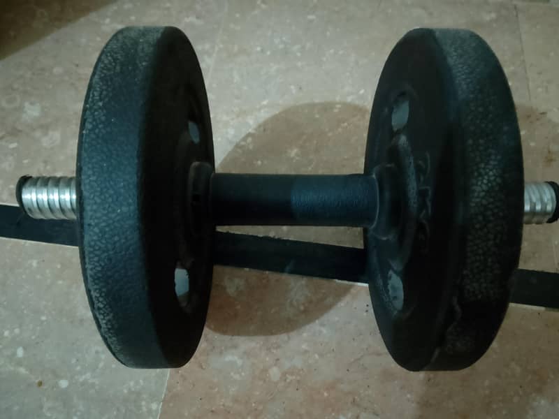 Adjustable dumbbells 1