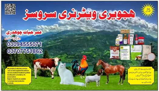 ہجویری ویٹرنری سروسز