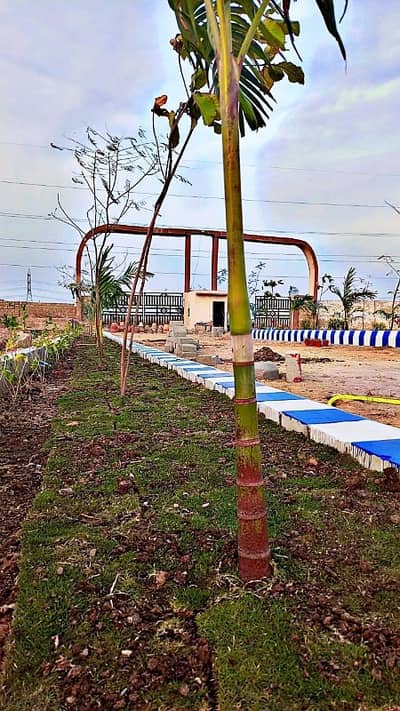 AG Sindh Emp C. H. S Sector-27/A Scheme-33 Karachi.