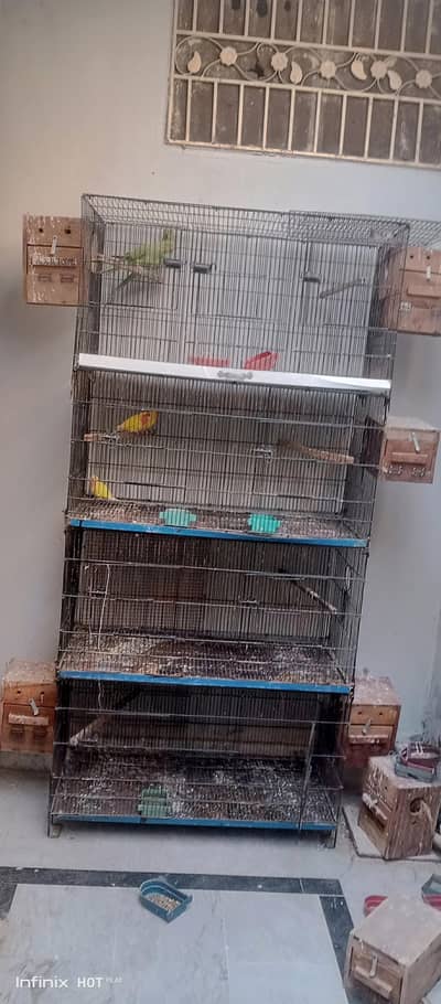 8 portion cage available