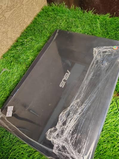 Asus Chromebook C204e