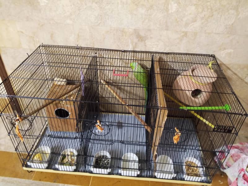 3 portion master cage 0