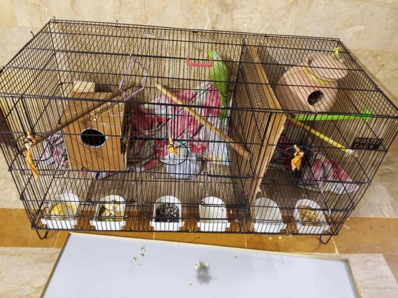 3 portion master cage 4