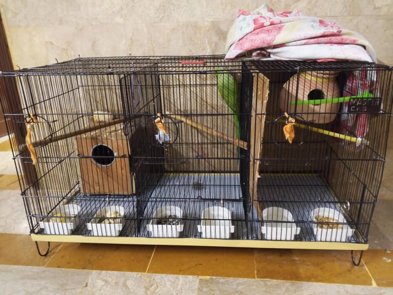 3 portion master cage 6