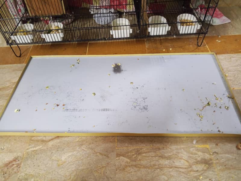 3 portion master cage 9