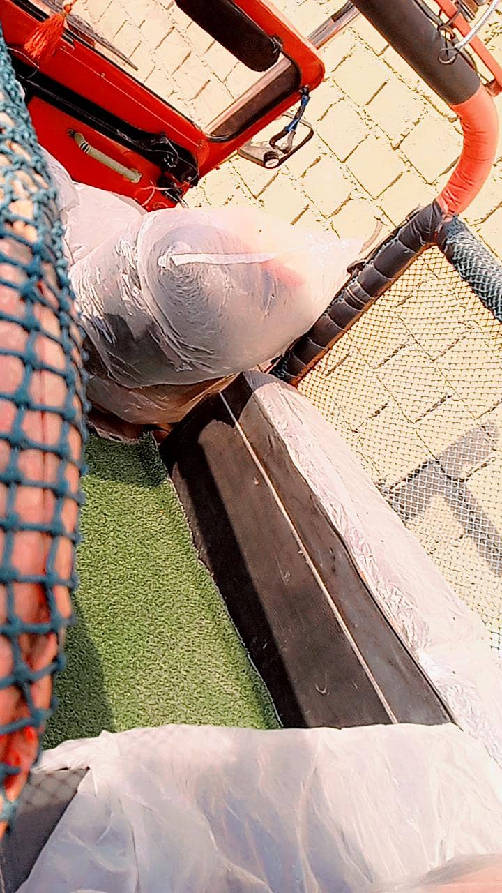 command modified jeep 5