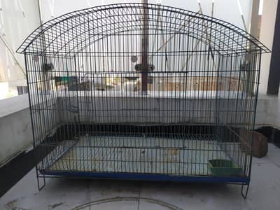 Birds Cage Width 29 Height 24.5 inches