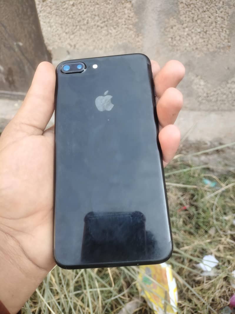 7plus pta approved 2