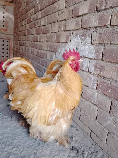 so beautiful and young