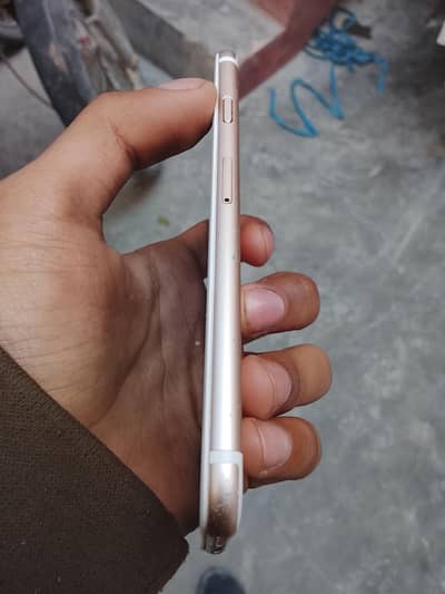 Whatsapp number 03161261742