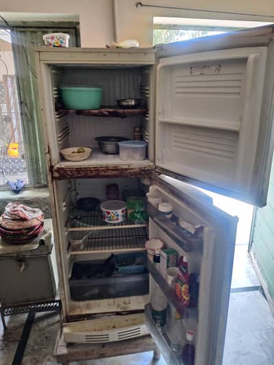 PEL Refrigerator Madium Size