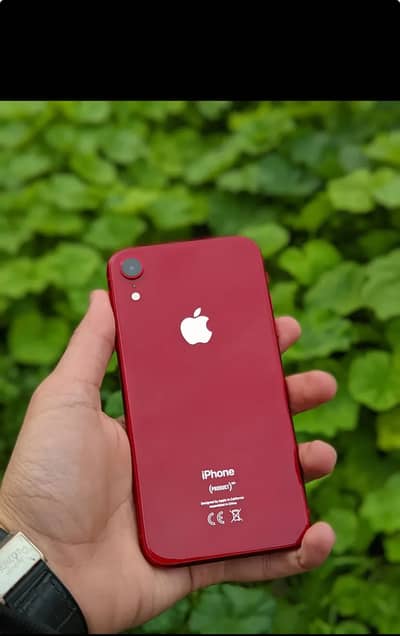 iPhone Xr 128
