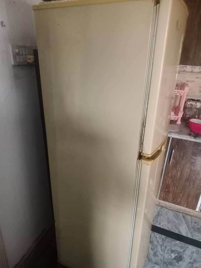 PEL استعمال شدہ پیل فریج برائے فروخت – بہترین حالت 1